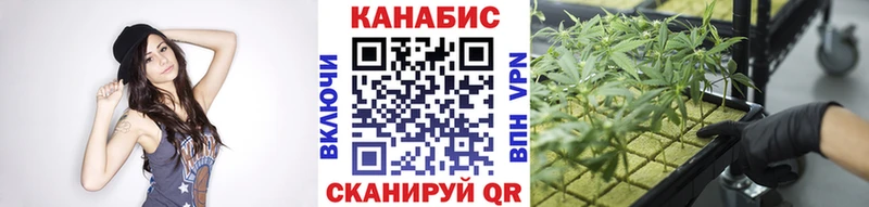 OMG tor Аркадак Конопля SATIVA & INDICA